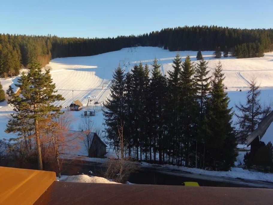 Haus Lucia, Mit Pool Und Sauna, Appartment 4 Schoenwald im Schwarzwald Exterior photo