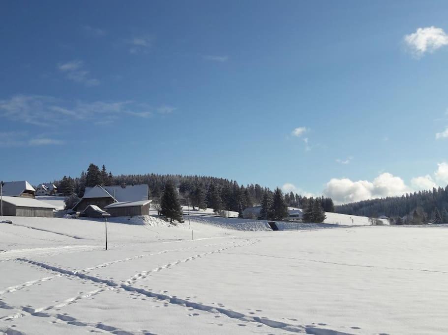 Haus Lucia, Mit Pool Und Sauna, Appartment 4 Schoenwald im Schwarzwald Exterior photo
